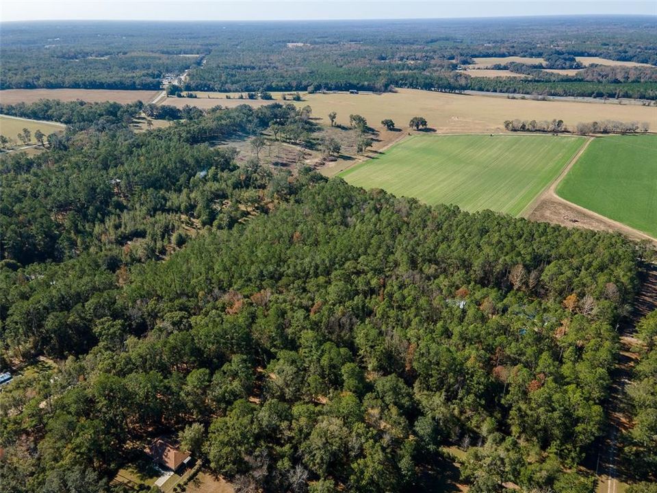 For Sale: $265,000 (10.00 acres)