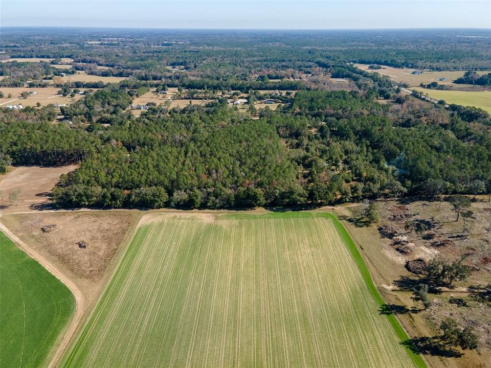 For Sale: $265,000 (10.00 acres)
