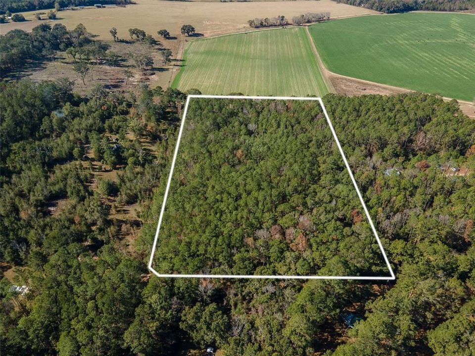 For Sale: $265,000 (10.00 acres)