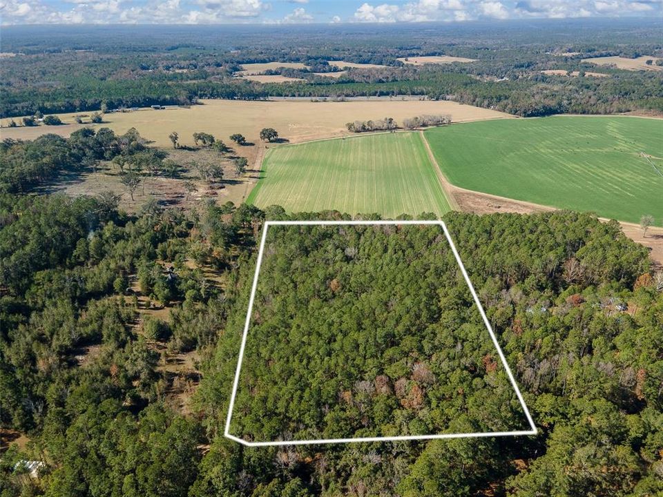 For Sale: $265,000 (10.00 acres)