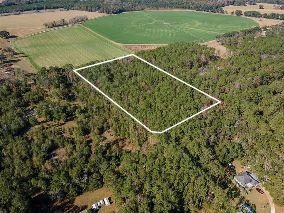 For Sale: $265,000 (10.00 acres)