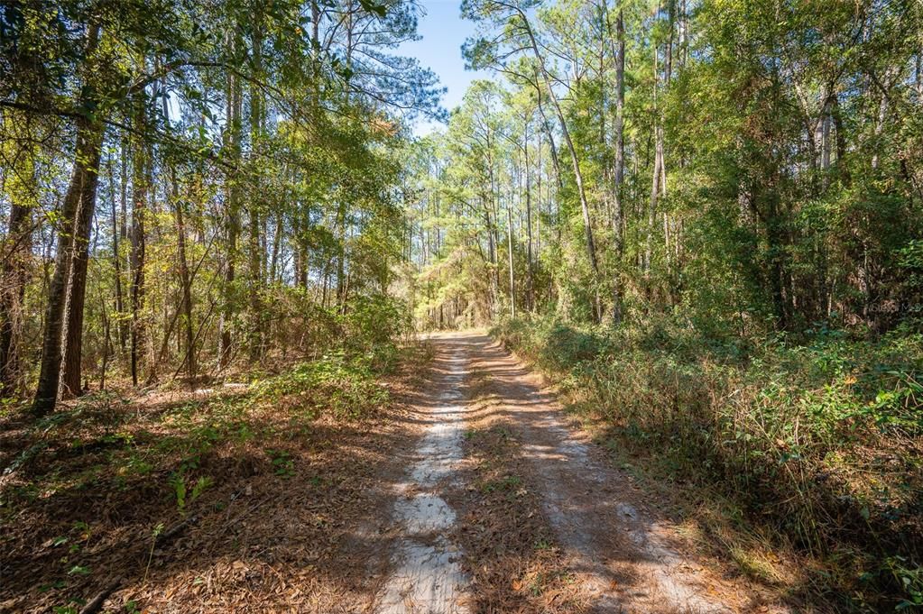 For Sale: $265,000 (10.00 acres)