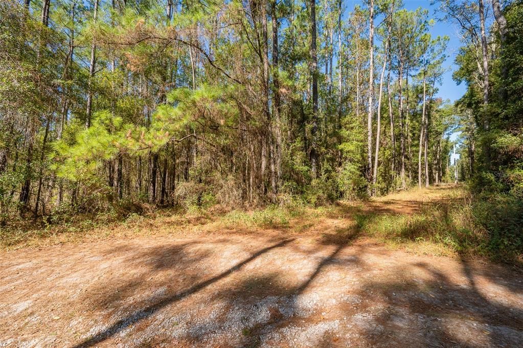 For Sale: $265,000 (10.00 acres)
