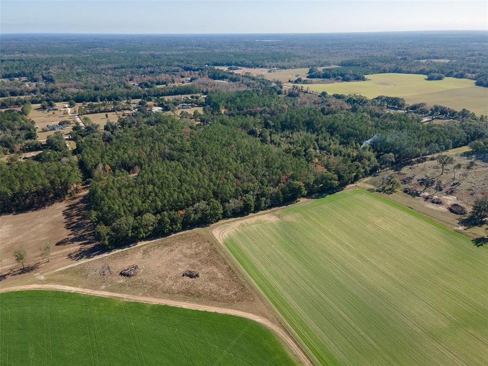 For Sale: $265,000 (10.00 acres)