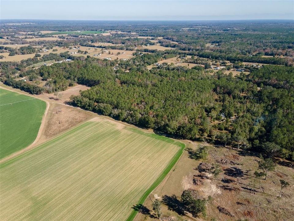 For Sale: $265,000 (10.00 acres)