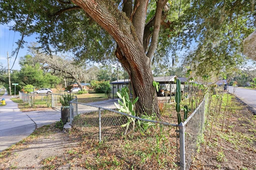 待售: $380,000 (3 贝兹, 1 浴室, 1779 平方英尺)