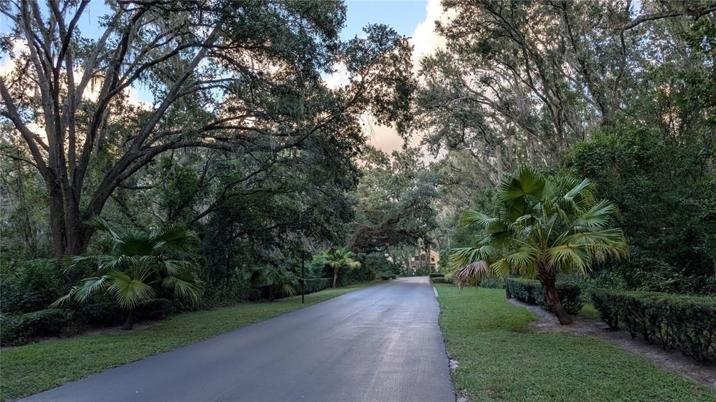 出租: $2,000 (3 贝兹, 2 浴室, 1503 平方英尺)