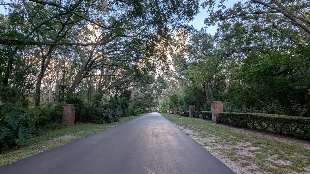 出租: $2,000 (3 贝兹, 2 浴室, 1503 平方英尺)