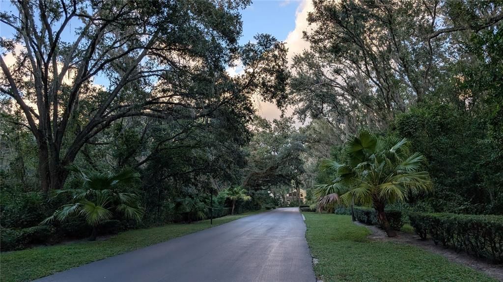 出租: $2,000 (3 贝兹, 2 浴室, 1503 平方英尺)