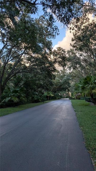 出租: $2,000 (3 贝兹, 2 浴室, 1503 平方英尺)