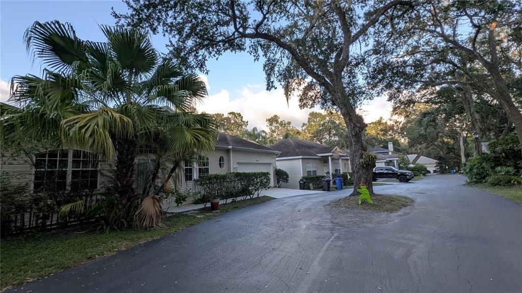 出租: $2,000 (3 贝兹, 2 浴室, 1503 平方英尺)