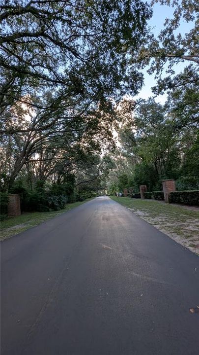 出租: $2,000 (3 贝兹, 2 浴室, 1503 平方英尺)