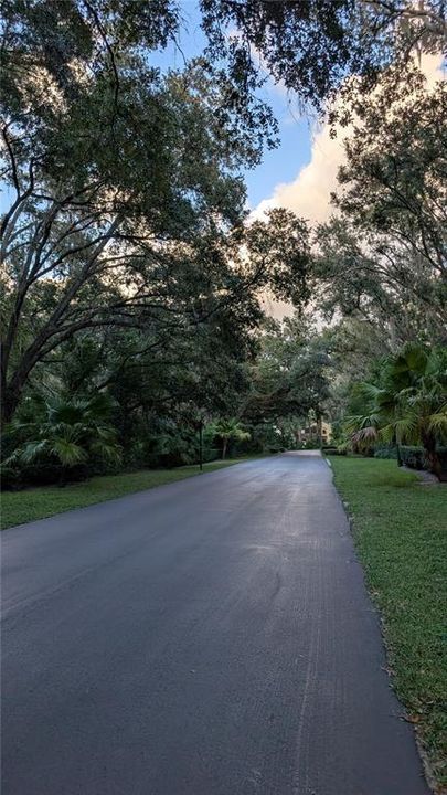 出租: $2,000 (3 贝兹, 2 浴室, 1503 平方英尺)