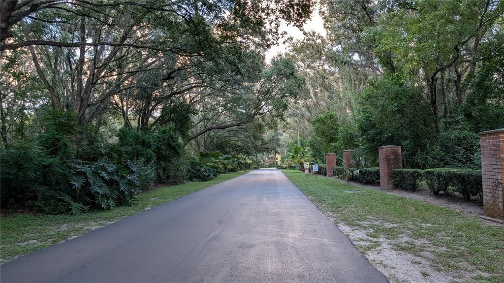 出租: $2,000 (3 贝兹, 2 浴室, 1503 平方英尺)