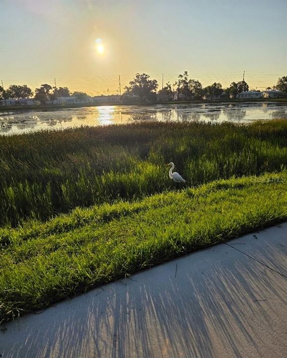 For Sale: $249,900 (2 beds, 2 baths, 810 Square Feet)