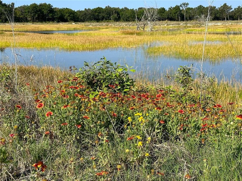 For Sale: $249,900 (2 beds, 2 baths, 810 Square Feet)