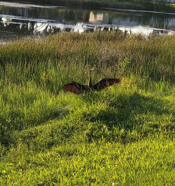 For Sale: $249,900 (2 beds, 2 baths, 810 Square Feet)