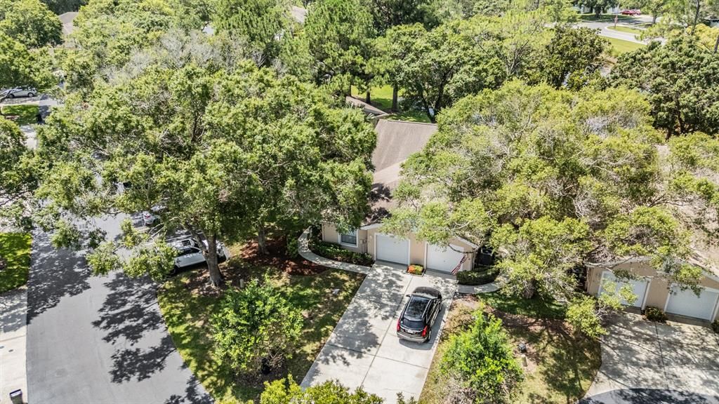 En Renta: $2,500 (3 camas, 2 baños, 1465 Pies cuadrados)