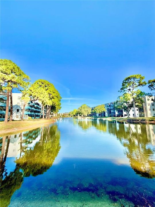 En Venta: $239,900 (2 camas, 2 baños, 1135 Pies cuadrados)