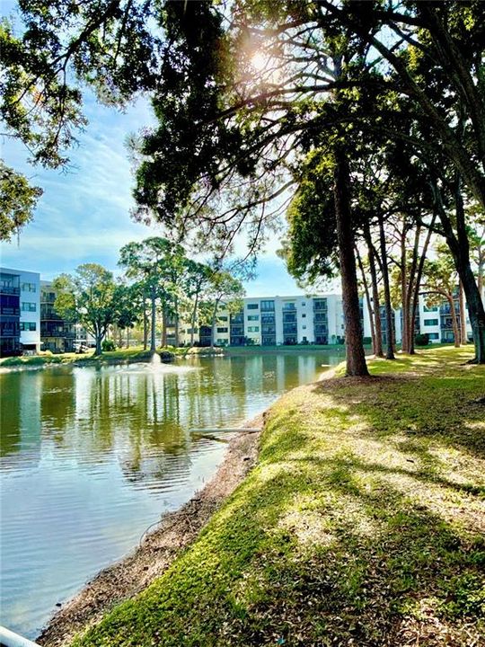 En Venta: $239,900 (2 camas, 2 baños, 1135 Pies cuadrados)