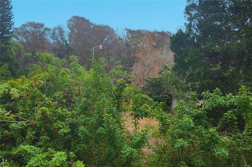 На продажу: $115,000 (3.13 acres)