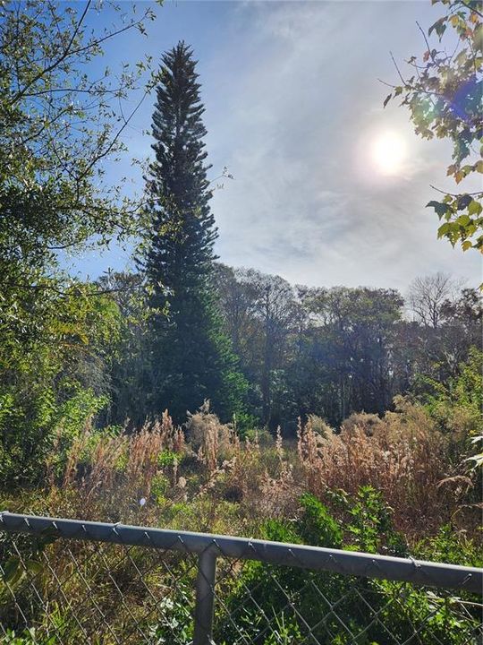 На продажу: $115,000 (3.13 acres)