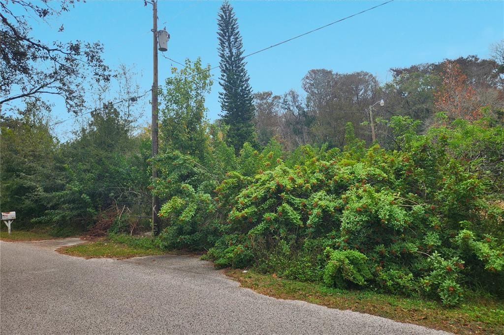 На продажу: $115,000 (3.13 acres)