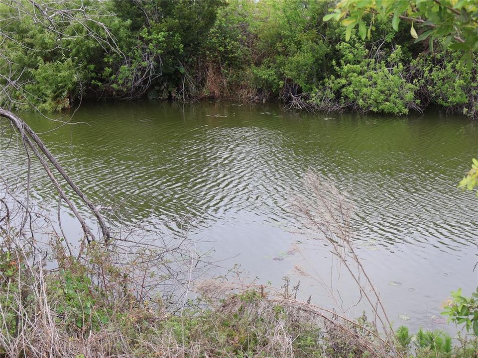 待售: $75,000 (0.23 acres)