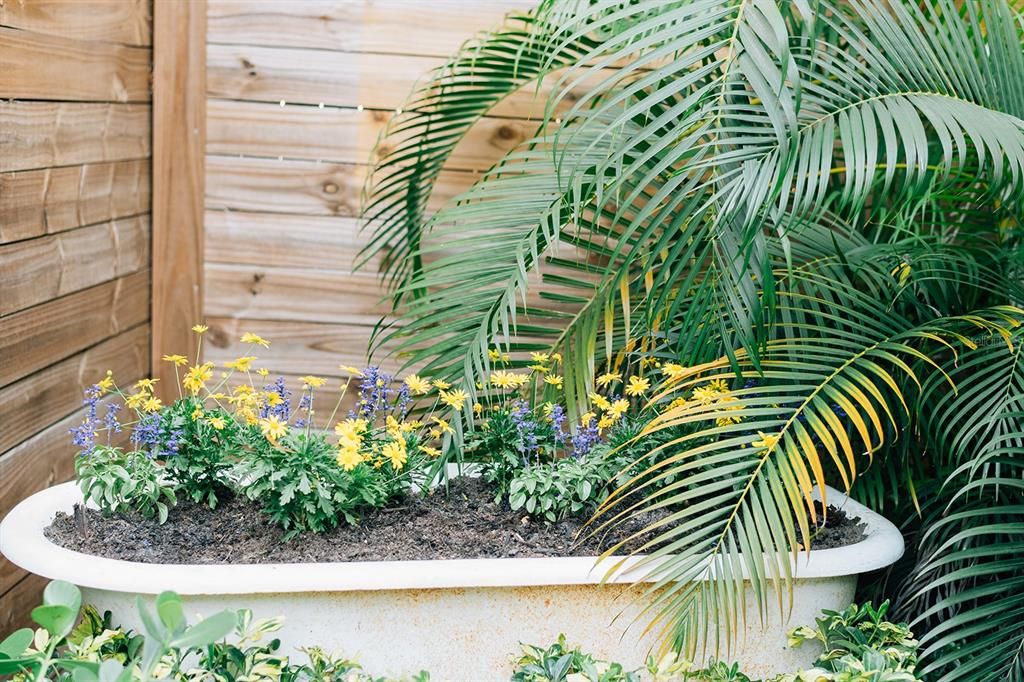 В аренду: $1,500 (1 спален, 1 ванн, 160 Квадратных фут)