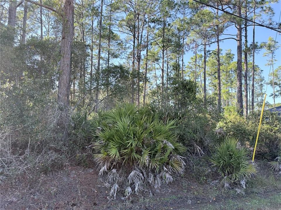 En Venta: $40,000 (0.25 acres)