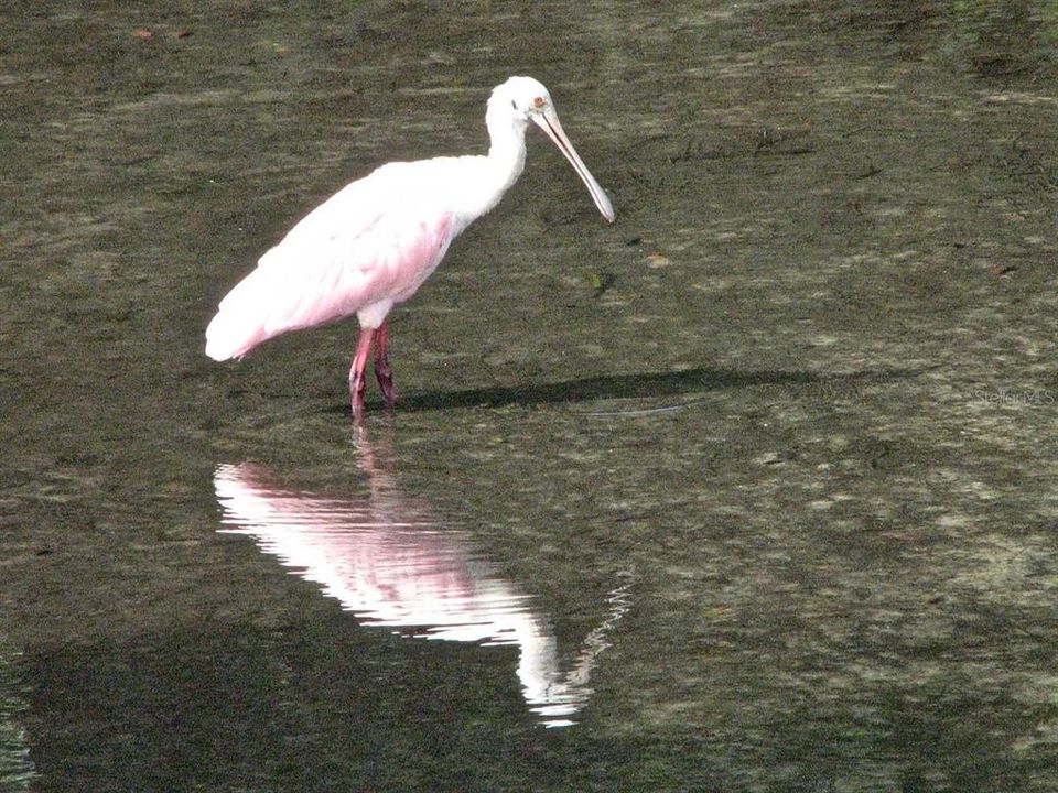 For Sale: $399,900 (2 beds, 1 baths, 904 Square Feet)