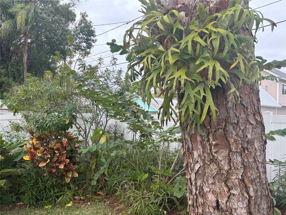 For Sale: $399,900 (2 beds, 1 baths, 904 Square Feet)