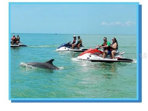 For Sale: $399,900 (2 beds, 1 baths, 904 Square Feet)