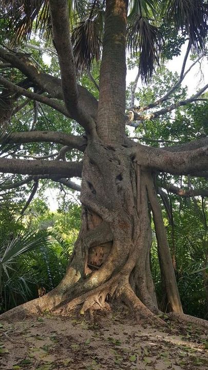 For Sale: $399,900 (2 beds, 1 baths, 904 Square Feet)