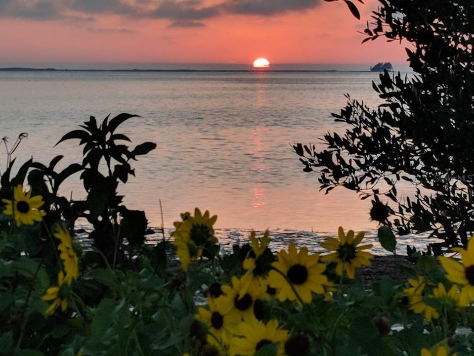 For Sale: $399,900 (2 beds, 1 baths, 904 Square Feet)