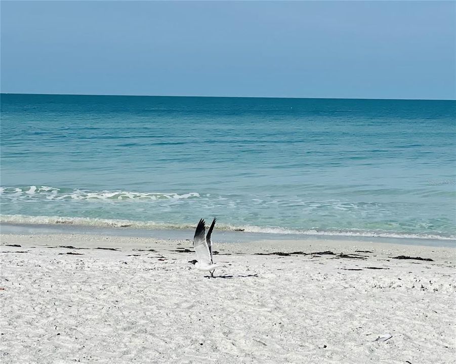 For Sale: $399,900 (2 beds, 1 baths, 904 Square Feet)