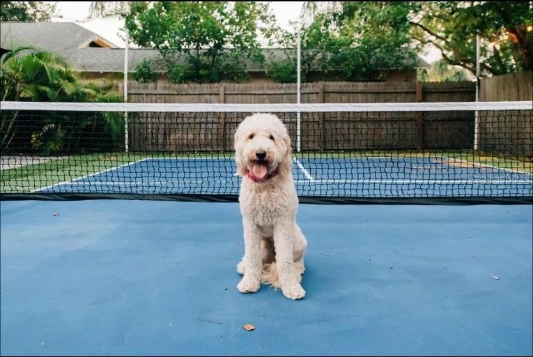 For Rent: $4,500 (4 beds, 2 baths, 1599 Square Feet)