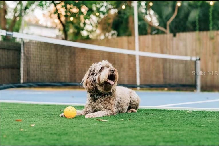 For Rent: $4,500 (4 beds, 2 baths, 1599 Square Feet)