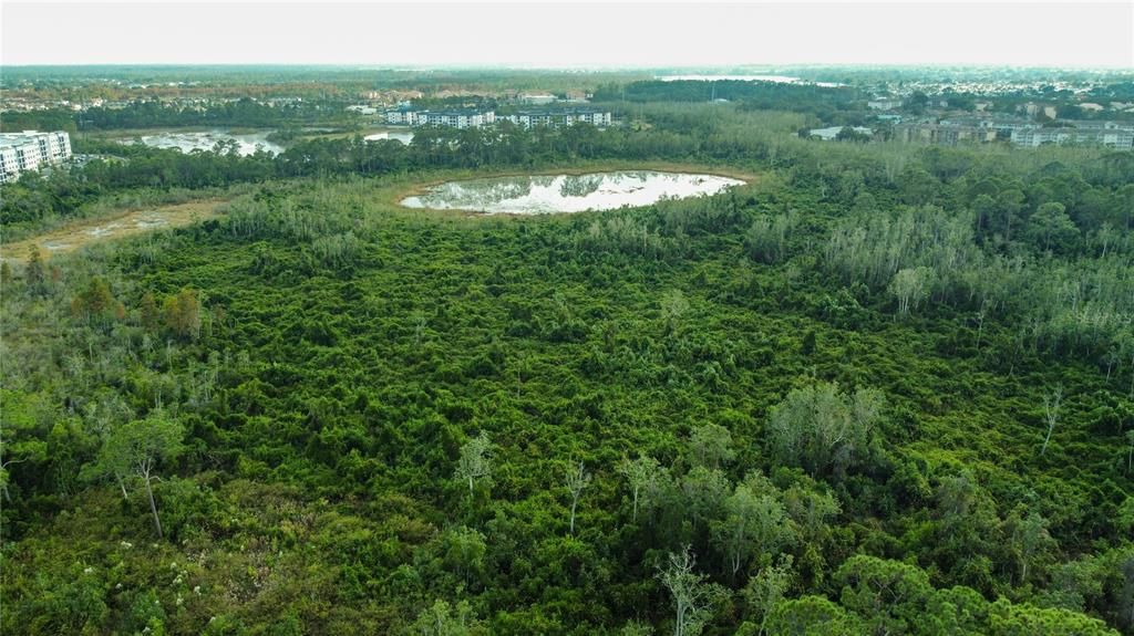 待售: $2,000,000 (13.21 acres)