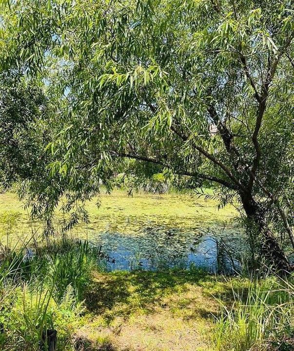 For Sale: $464,500 (3 beds, 2 baths, 1823 Square Feet)