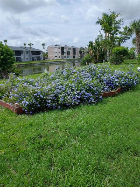 На продажу: $259,000 (2 спален, 1 ванн, 1183 Квадратных фут)