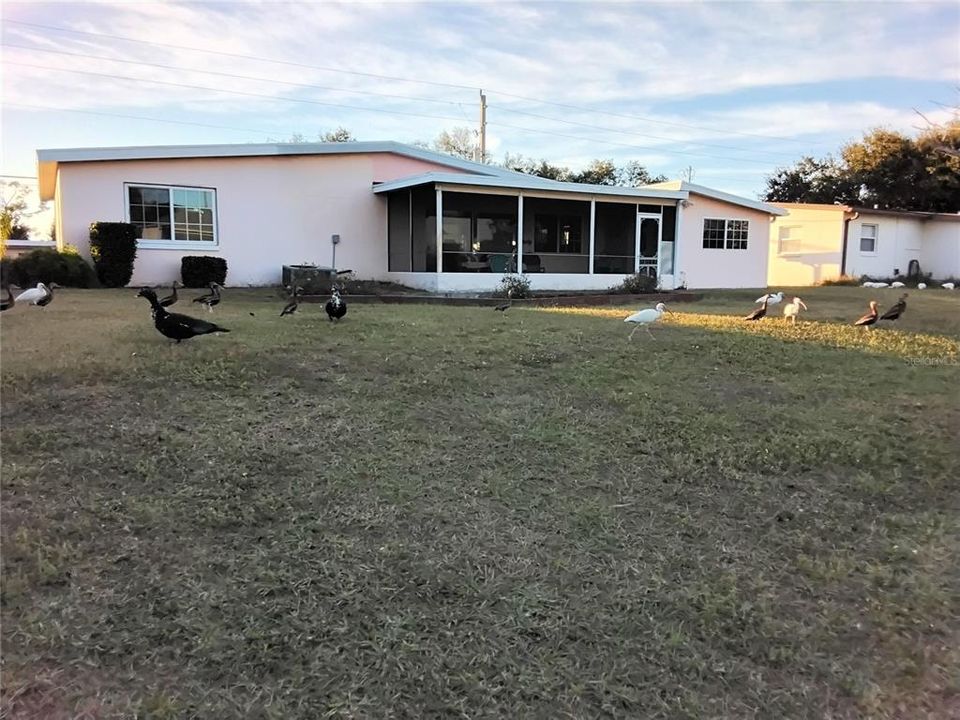 На продажу: $259,000 (2 спален, 1 ванн, 1183 Квадратных фут)