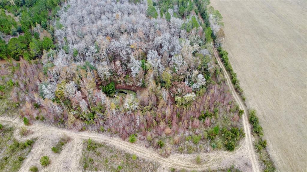 For Sale: $549,900 (48.55 acres)