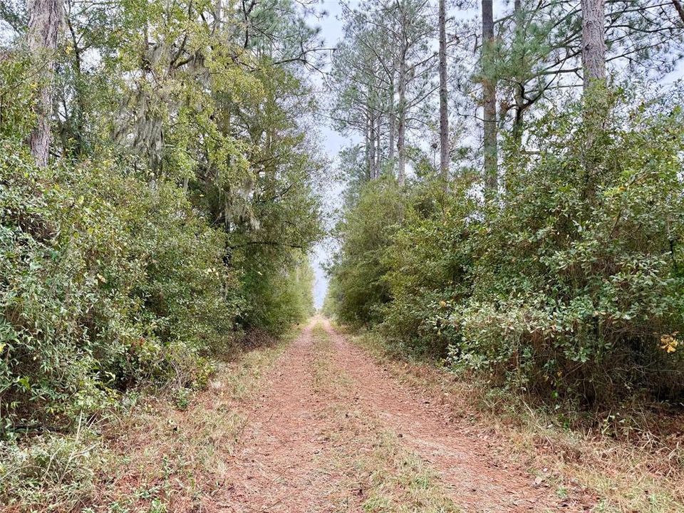 For Sale: $549,900 (48.55 acres)