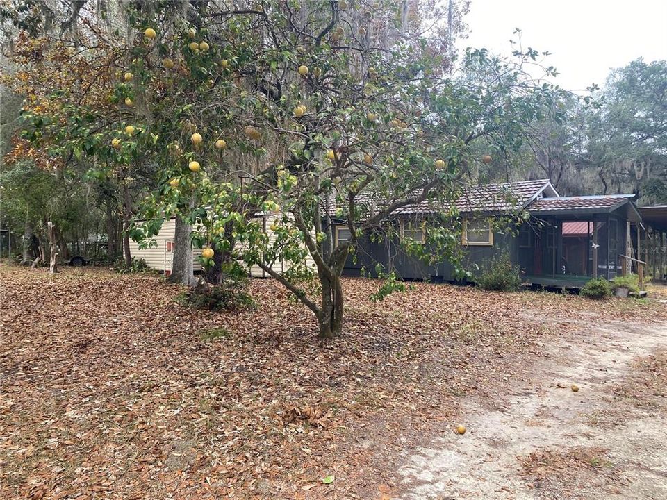 For Sale: $299,900 (3 beds, 3 baths, 1316 Square Feet)