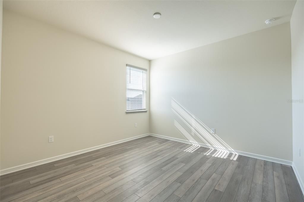 出租: $1,650 (1 贝兹, 1 浴室, 894 平方英尺)