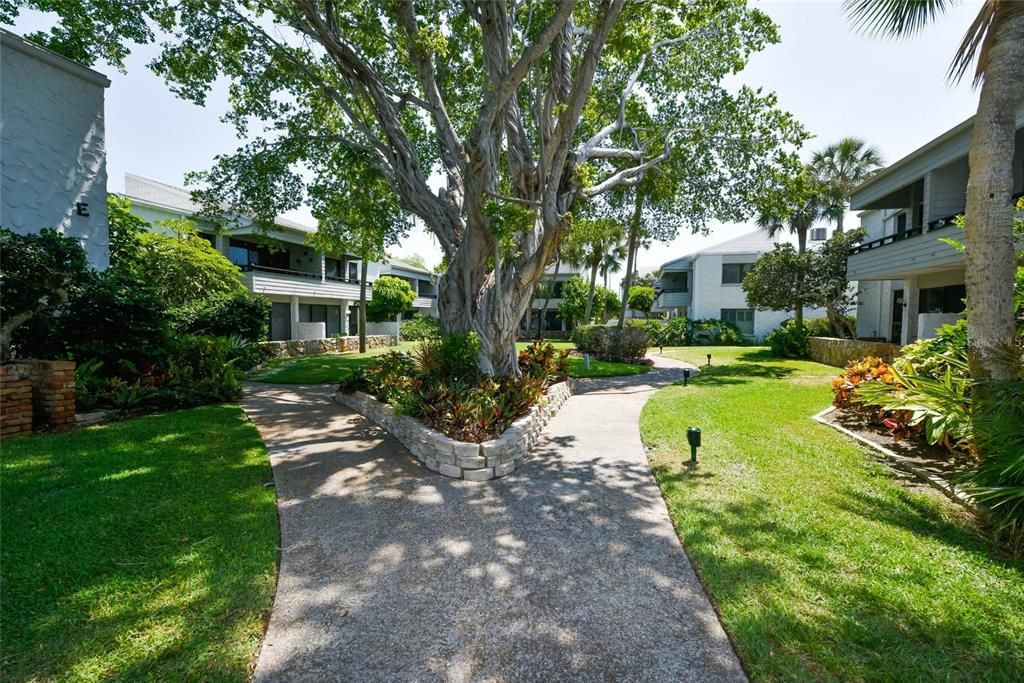 На продажу: $499,000 (2 спален, 2 ванн, 934 Квадратных фут)