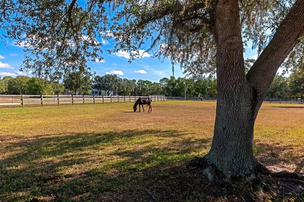 For Sale: $850,000 (3 beds, 3 baths, 2634 Square Feet)