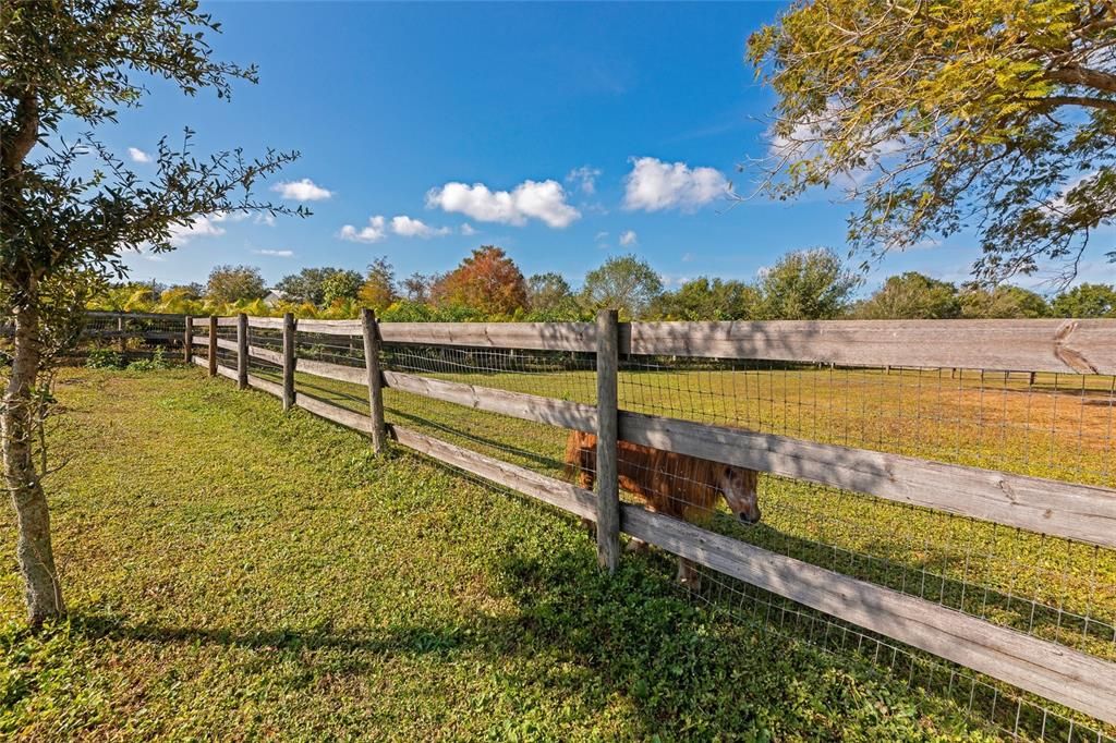 For Sale: $850,000 (3 beds, 3 baths, 2634 Square Feet)