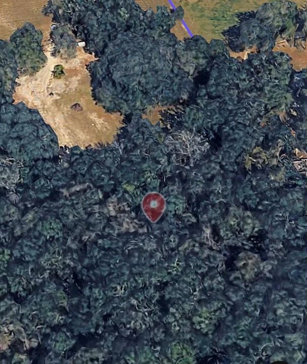 For Sale: $200,000 (8.96 acres)